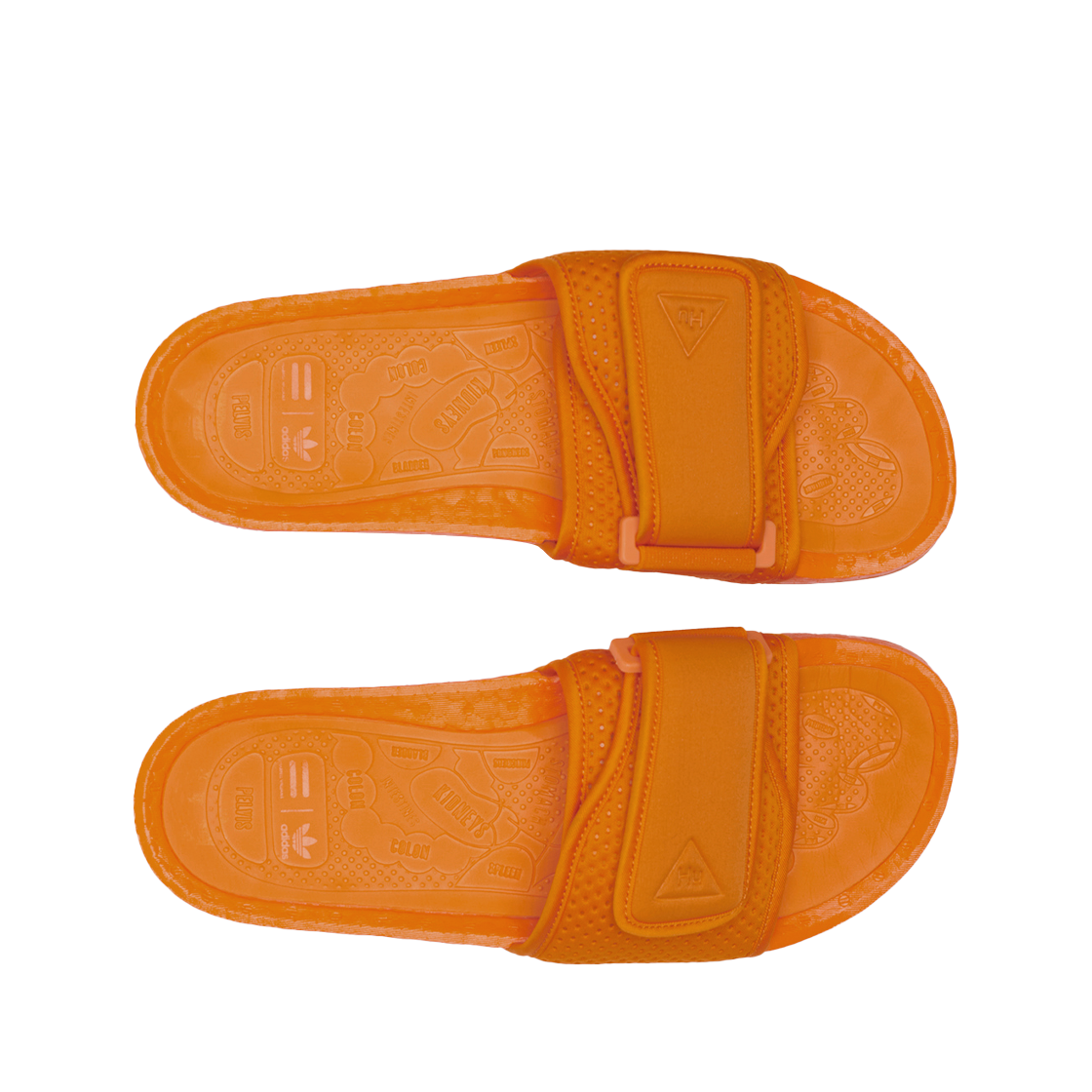 아디다스 x 퍼렐 윌리엄스 샨클레이터스 Hu 브라이트 오렌지(Adidas x Pharrell Williams Chancletas Hu Bright Orange) - 2