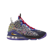 Nike LeBron 17 What The