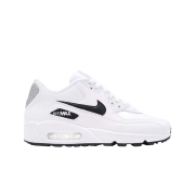 (W) Nike Air Max 90 White Silver