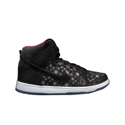 Nike x BROOKLYN PROJECTS Dunk High Premium SB Paparazzi