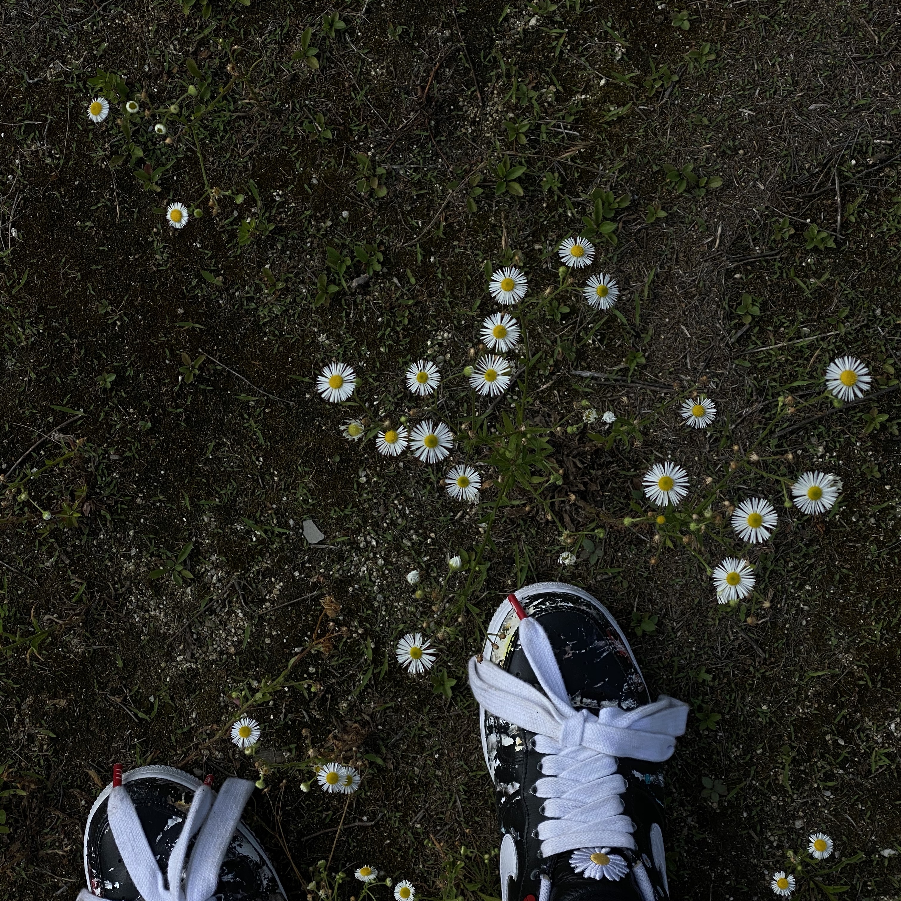 Nike x Peaceminusone Air Force 1 Low Para-Noise 착용 스타일