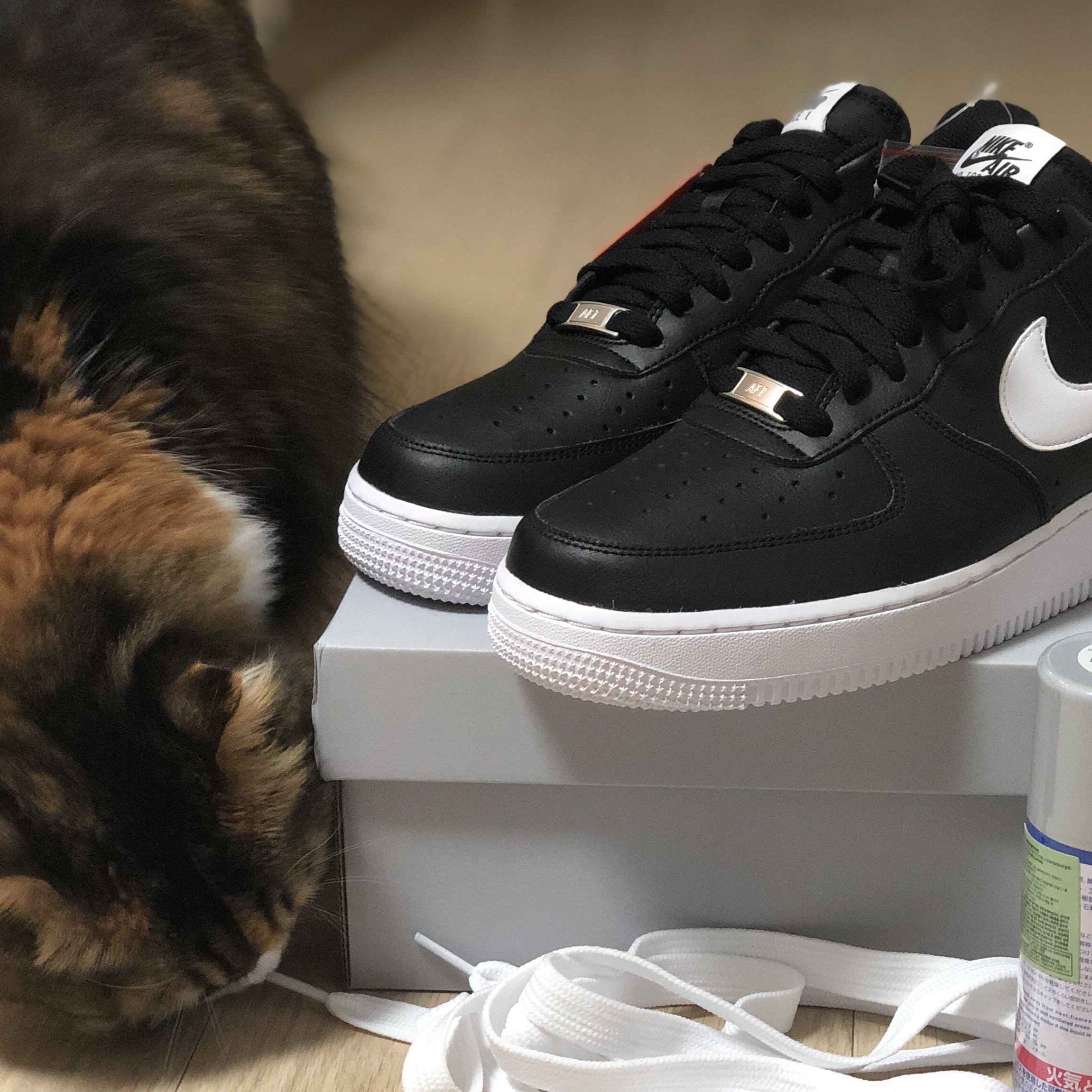 Nike Air Force 1 '07 AN20 Black White 착용 스타일 - 3