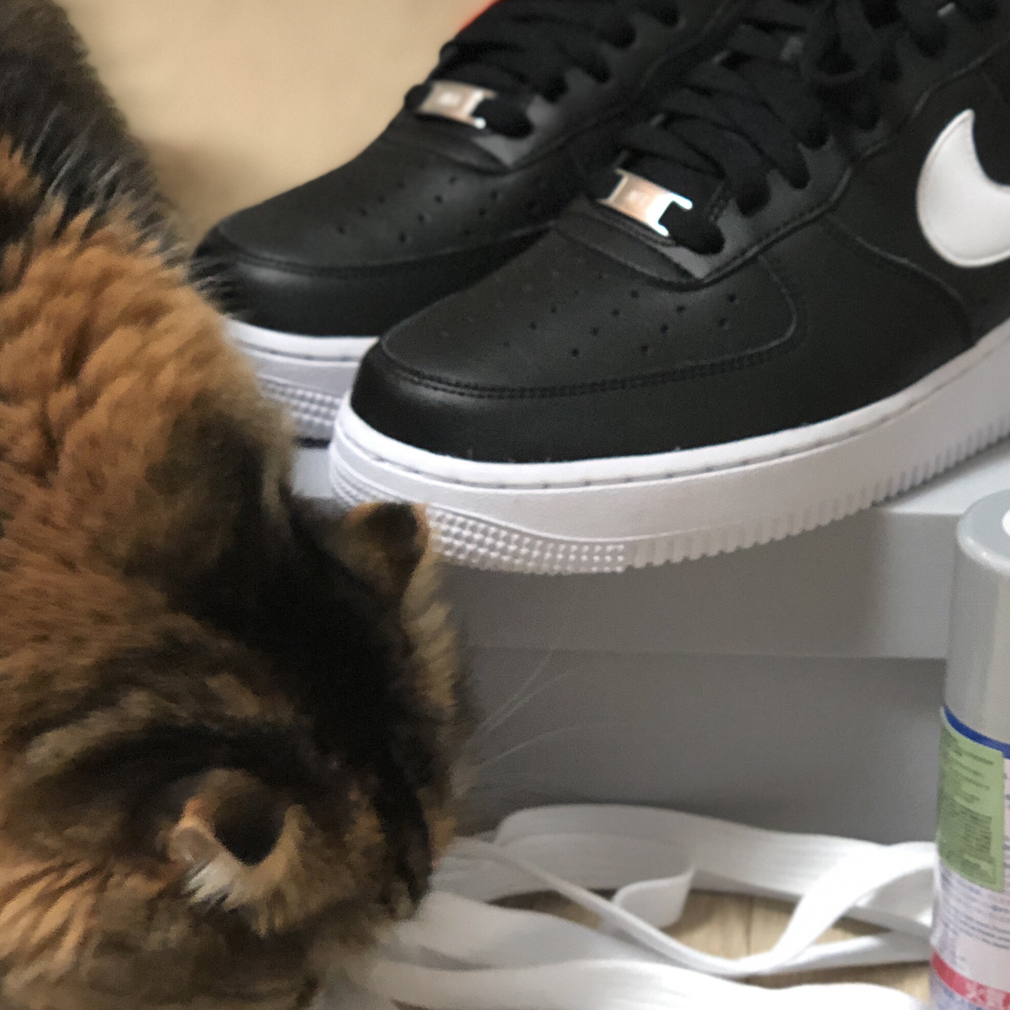 Nike Air Force 1 '07 AN20 Black White 착용 스타일 - 2
