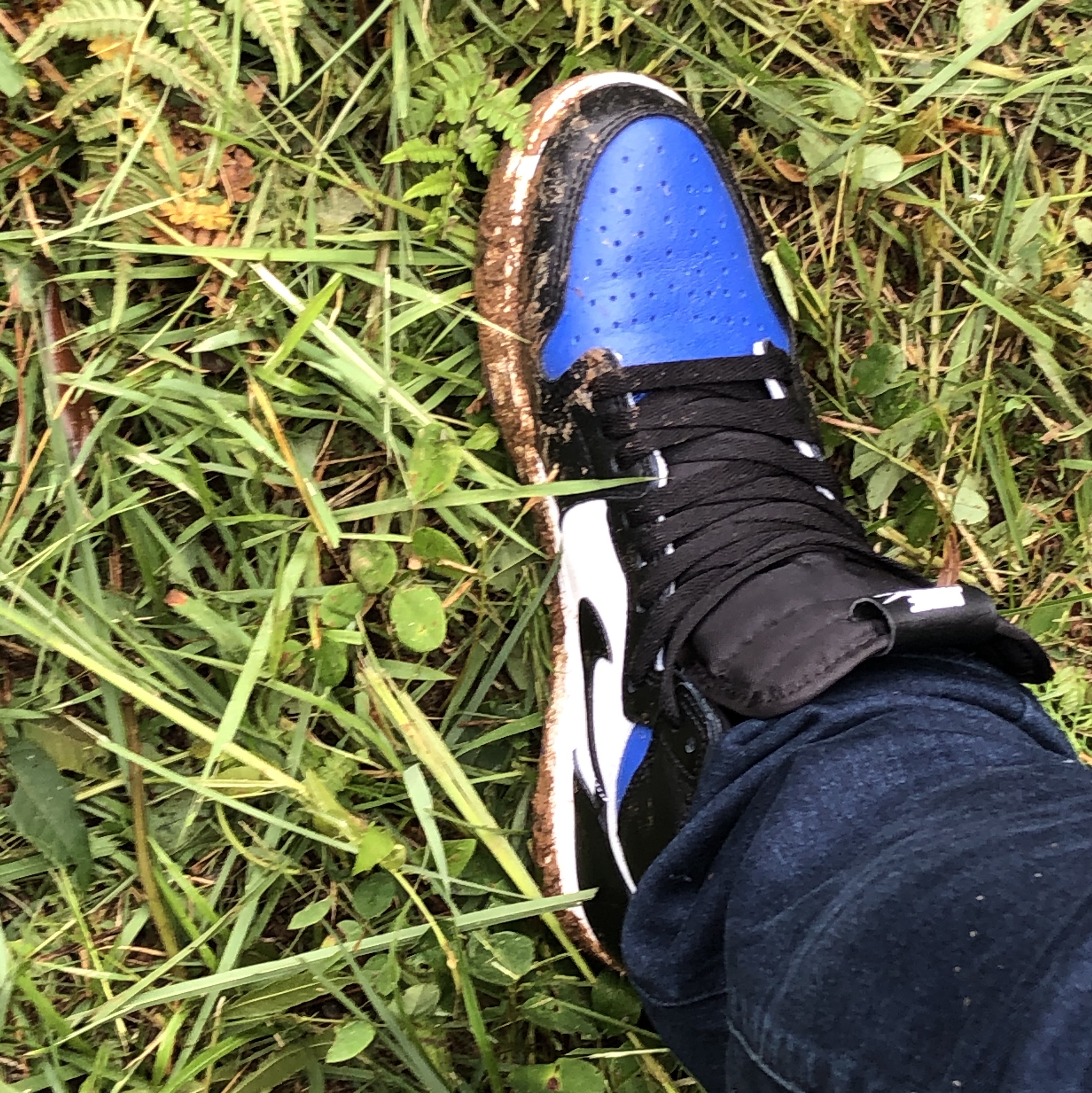 Jordan 1 Retro High OG Royal Toe, Jordan 1 Retro High Phantom Gym Red 착용 스타일 - 1