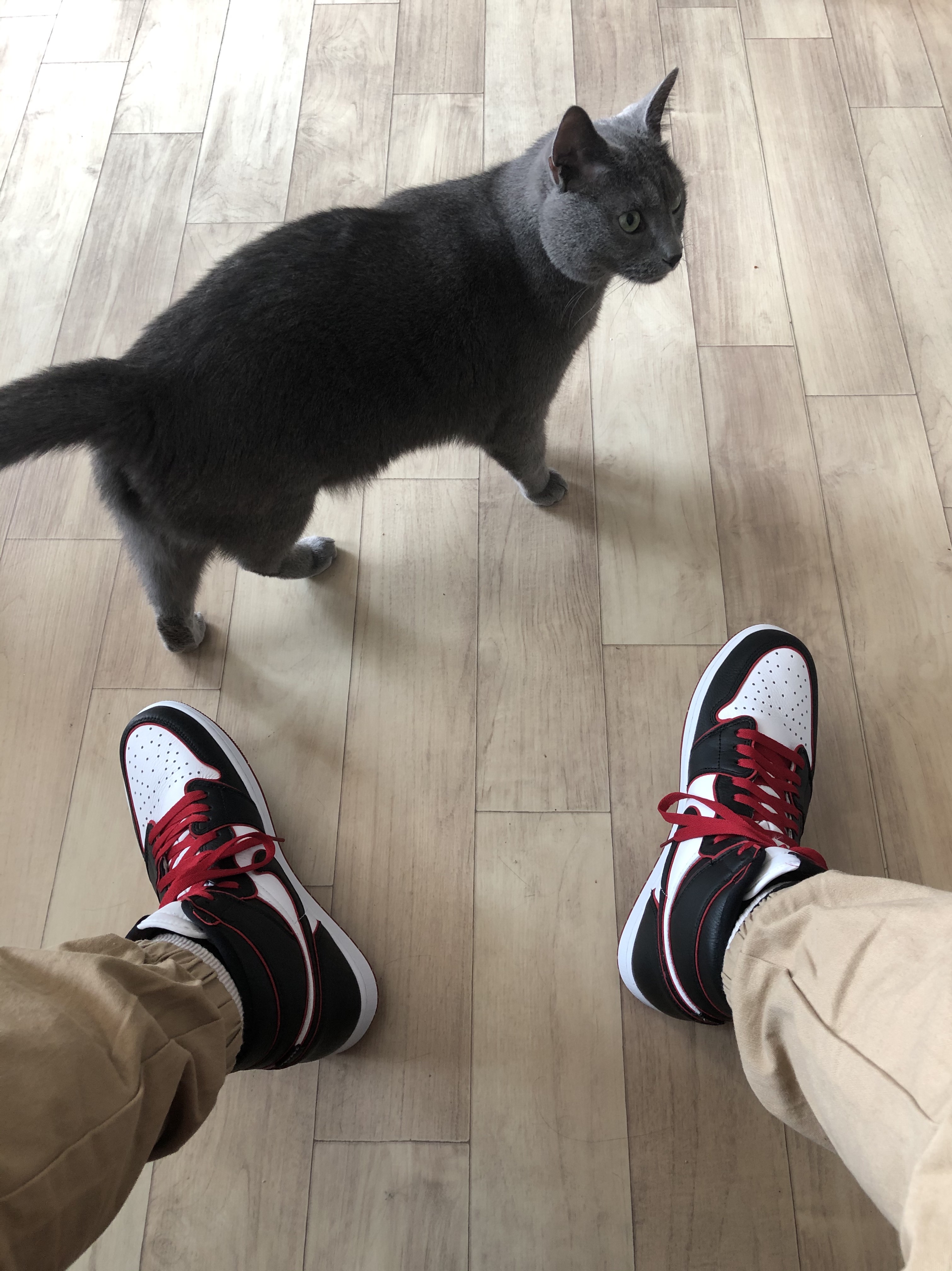 Jordan 1 Retro High OG Bloodline 착용 스타일