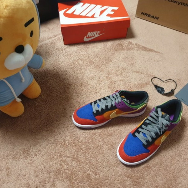 Nike Dunk Low SP Retro Viotech 2019 착용 스타일