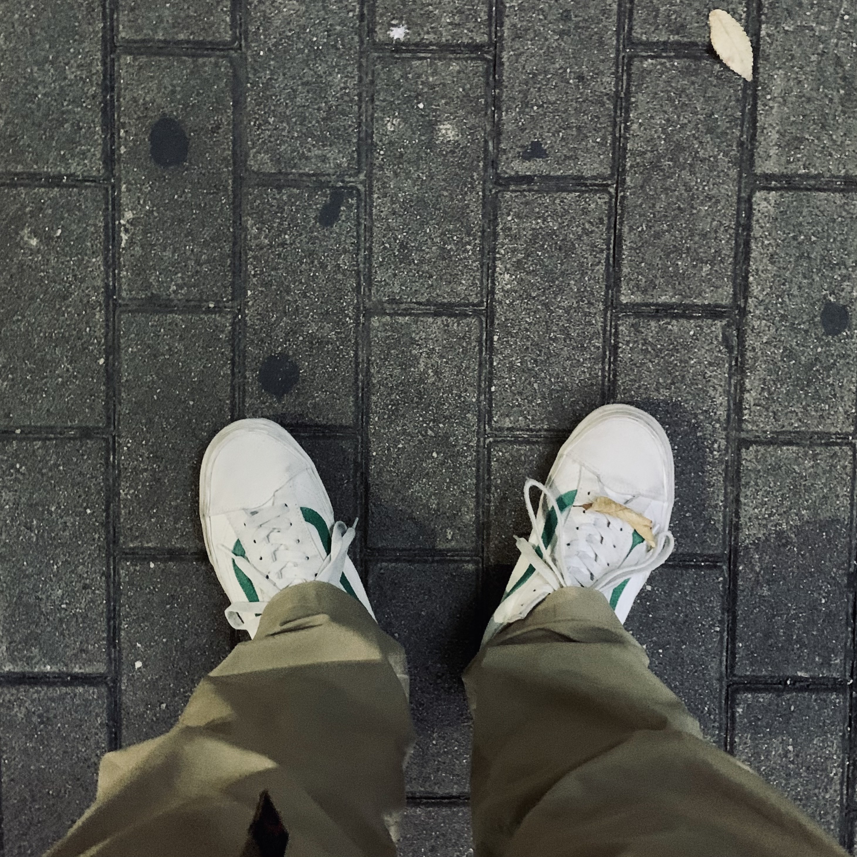 Vans Style 36 Marshmallow Jolly Green 착용 스타일