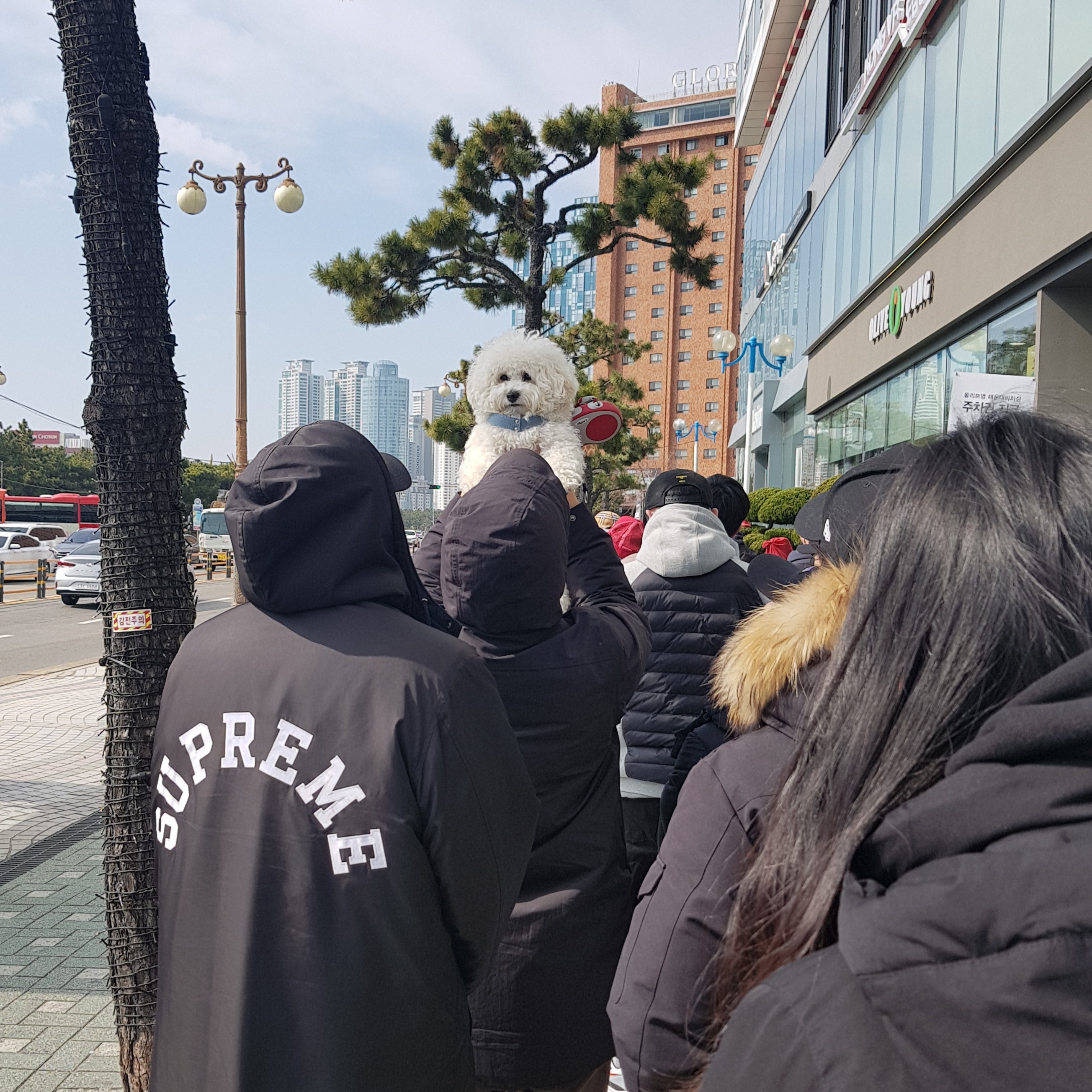 gktehrm님의 스타일