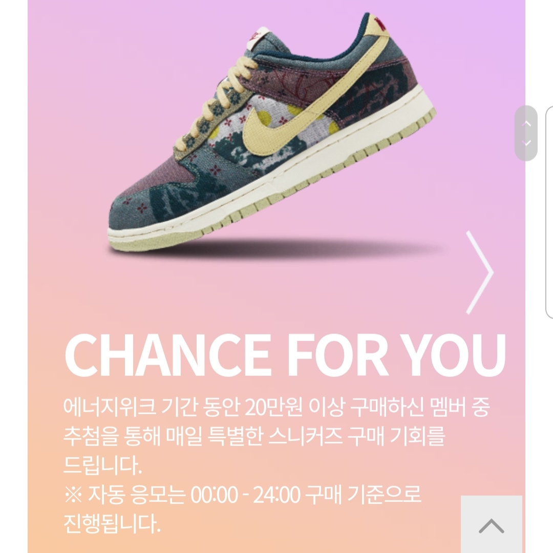 Nike Dunk Low SP Community Garden, Nike SB Dunk Low Pro Chicago 착용 스타일 - 1
