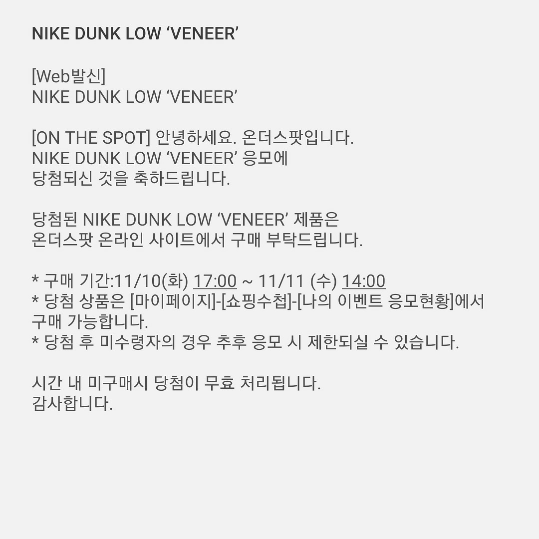 Nike Dunk Low SP Veneer 착용 스타일