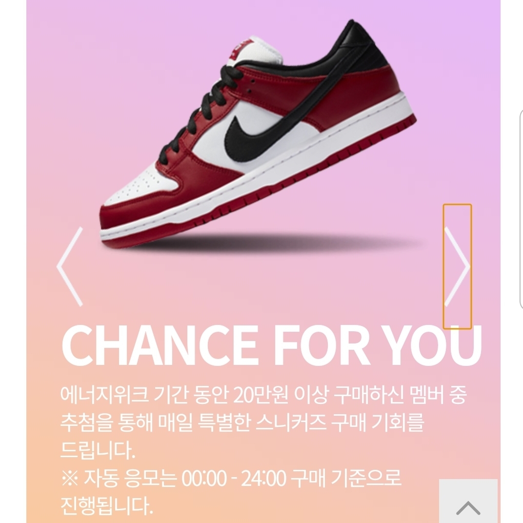 Nike Dunk Low SP Community Garden, Nike SB Dunk Low Pro Chicago 착용 스타일 - 2