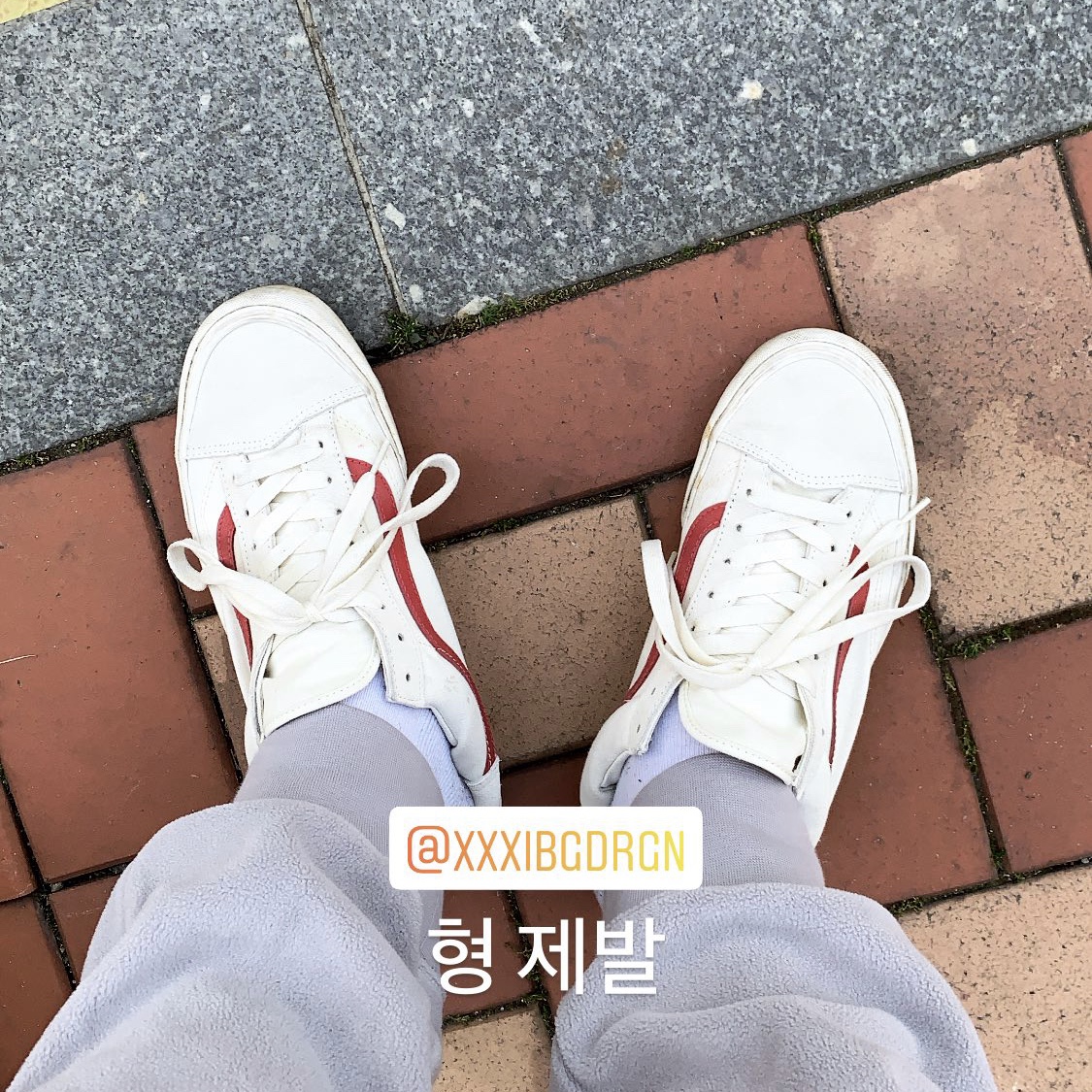 Vans Style 36 Marshmallow Racing Red 착용 스타일