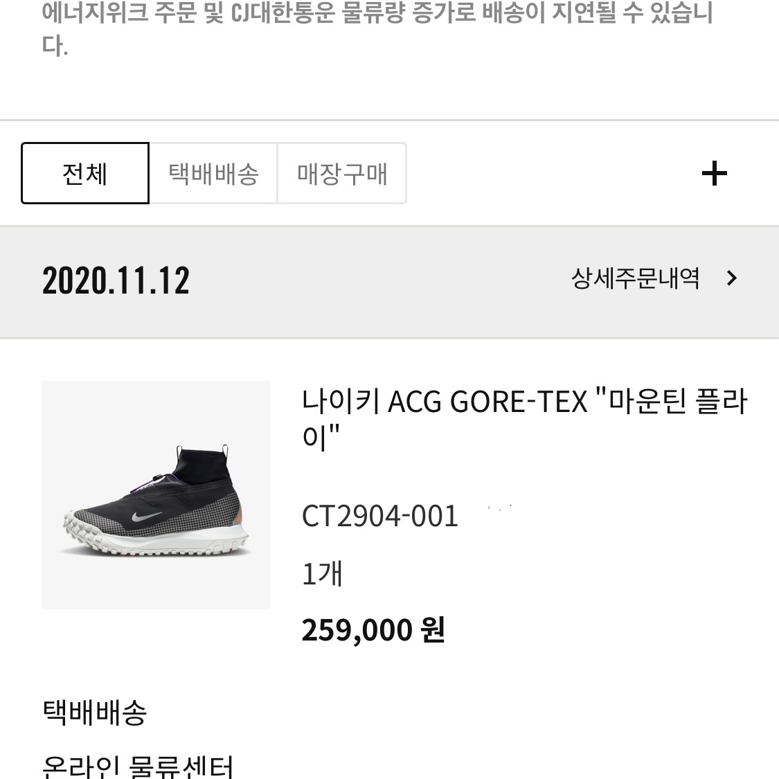 Nike ACG Mountain Fly Gore-Tex Metallic Silver 착용 스타일