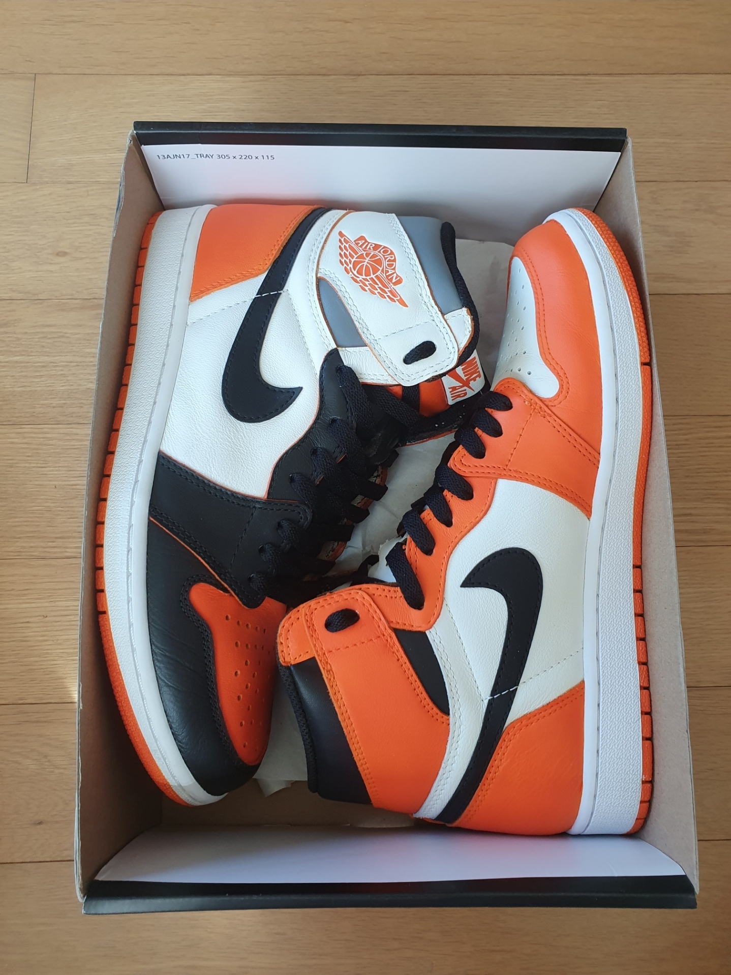 Jordan 1 Retro High OG Reverse Shattered Backboard 착용 스타일