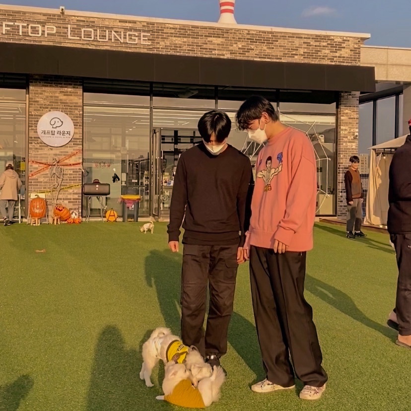 Vans Style 36 Marshmallow Dress Blues 착용 스타일