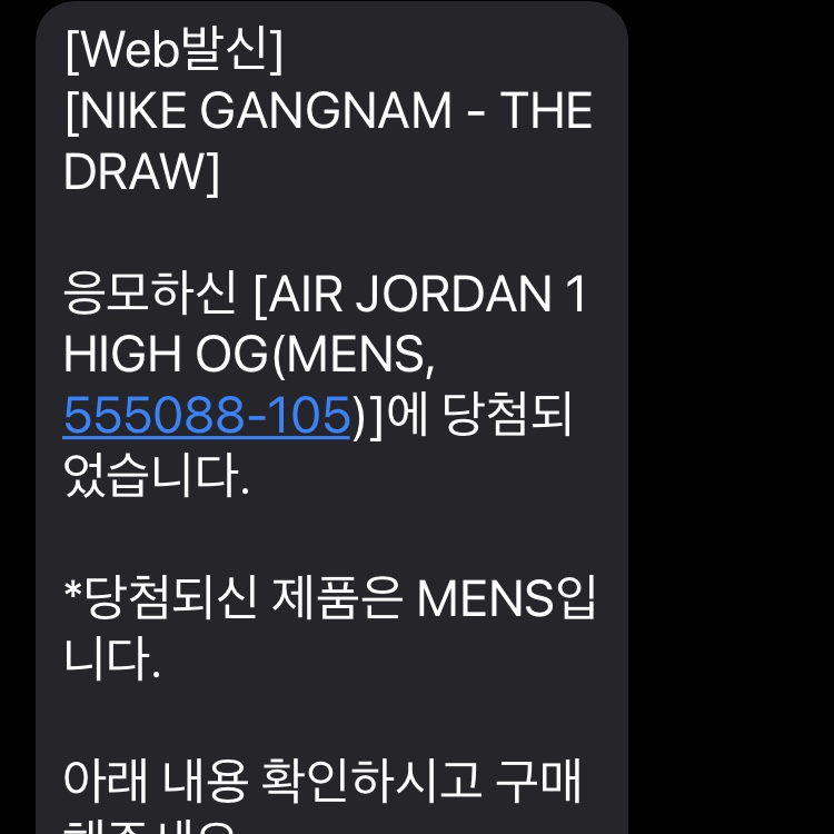 Jordan 1 Retro High OG Black Mocha 착용 스타일
