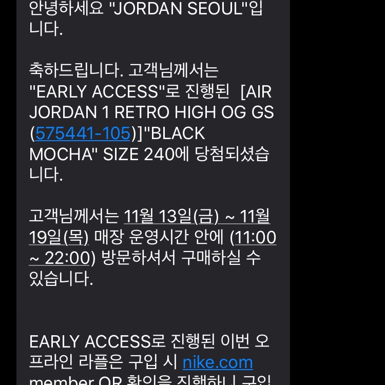 (GS) Jordan 1 Retro High OG Black Mocha 착용 스타일