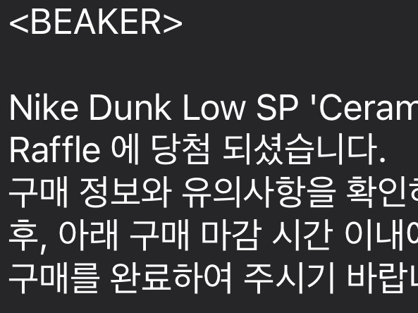Nike Dunk Low SP Ceramic 착용 스타일