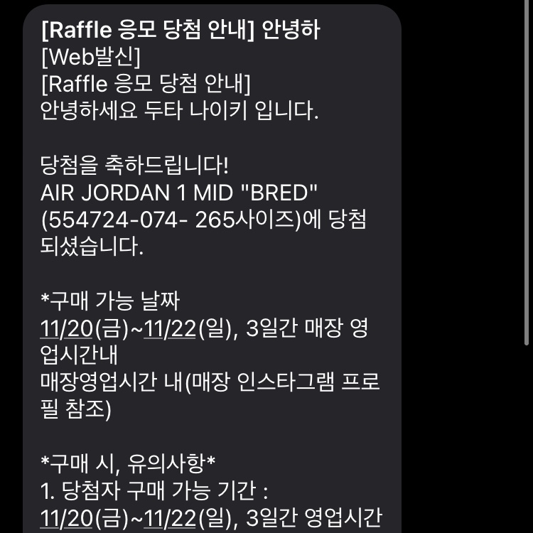 Jordan 1 Mid Bred Banned 2020 착용 스타일