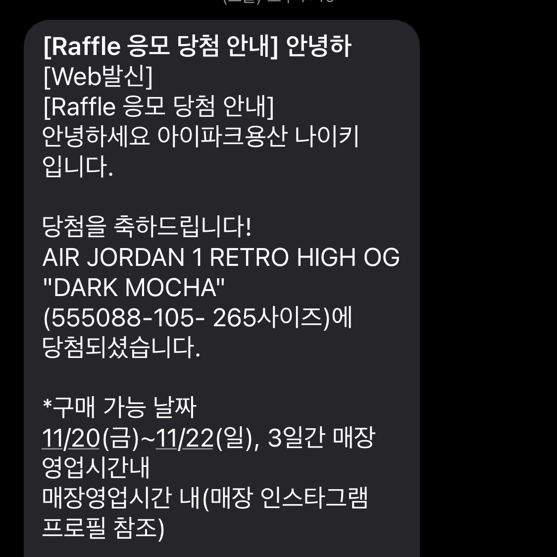 Jordan 1 Retro High OG Black Mocha 착용 스타일