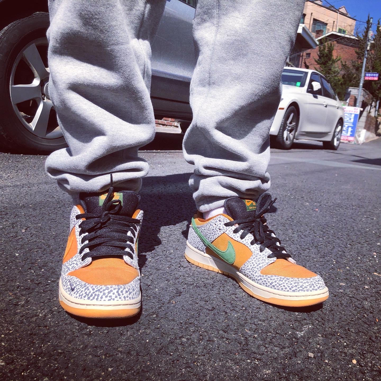 Nike SB Dunk Low Pro Safari 착용 스타일