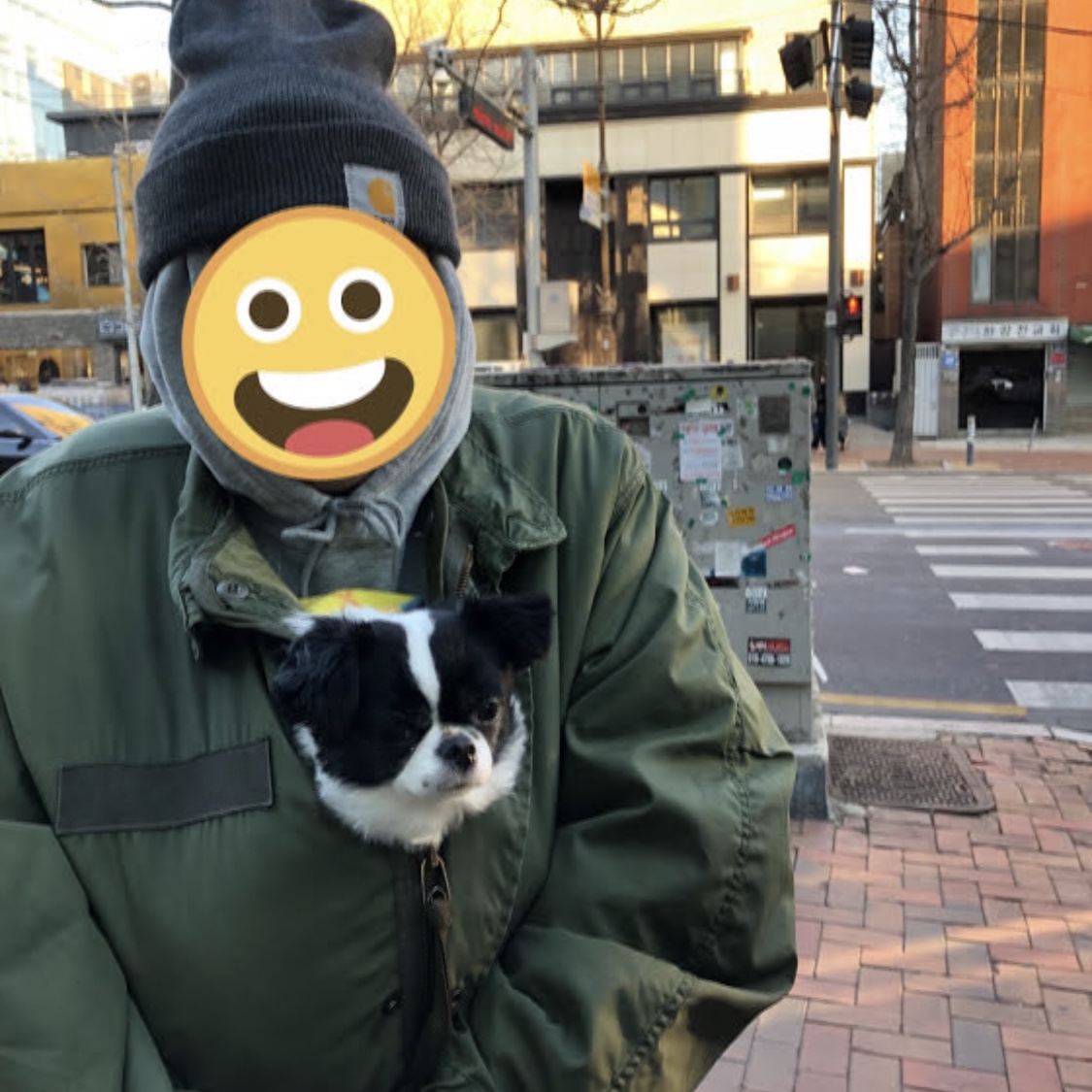 시너지님의 스타일
