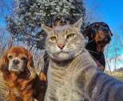 KREAM 프로필 이미지