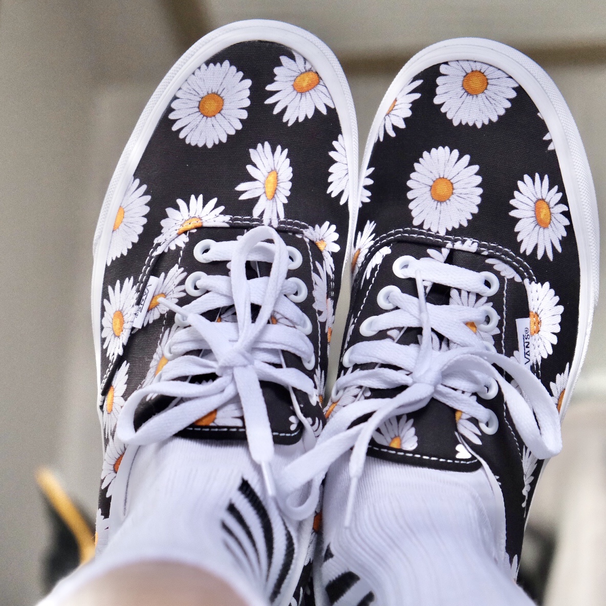 Vans Era Big Daisies Black 착용 스타일 - 2