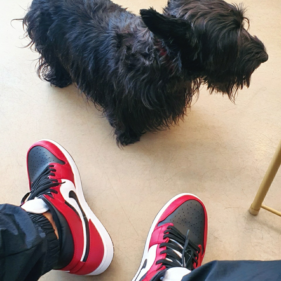 Jordan 1 Mid Chicago Black Toe 착용 스타일