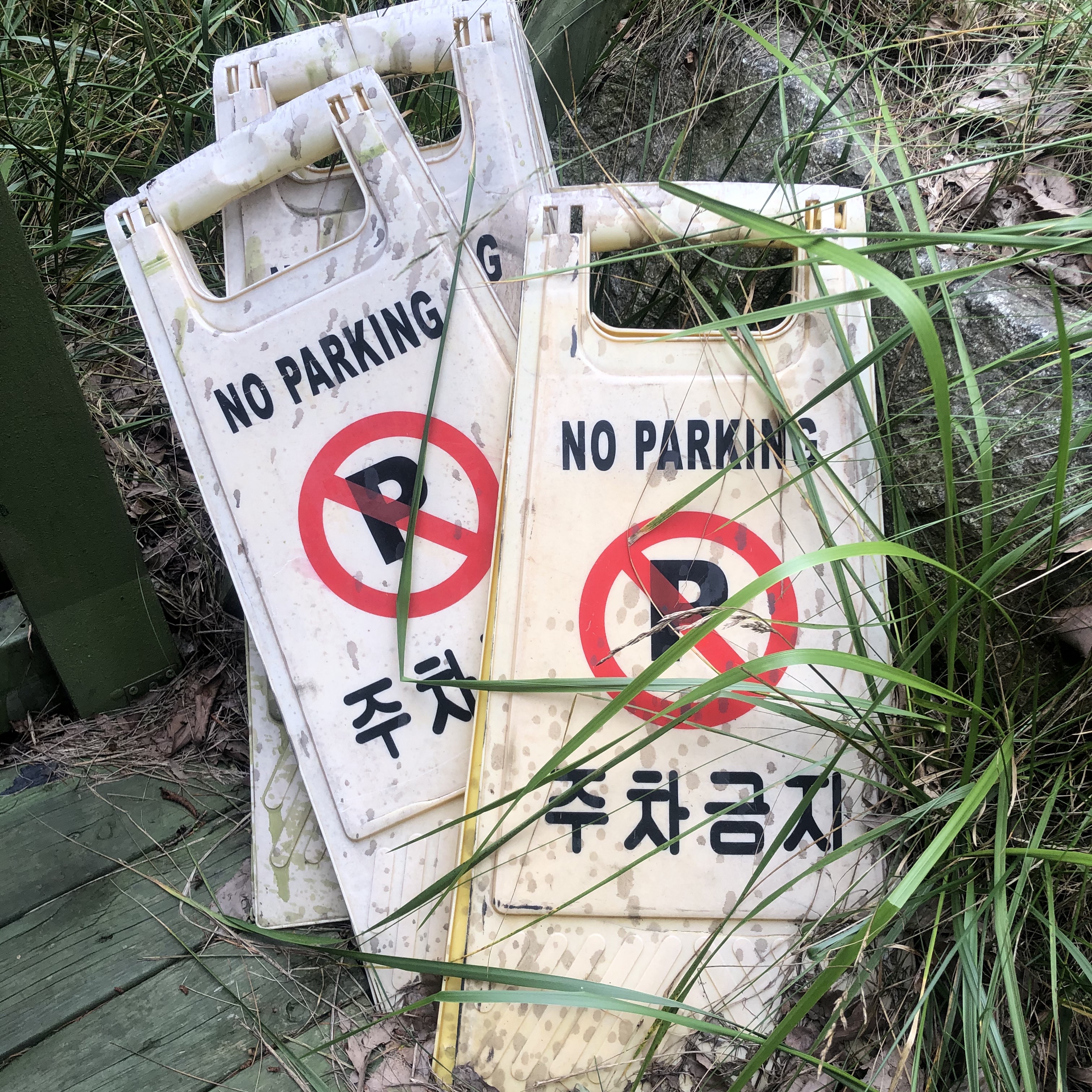 도마도님의 스타일