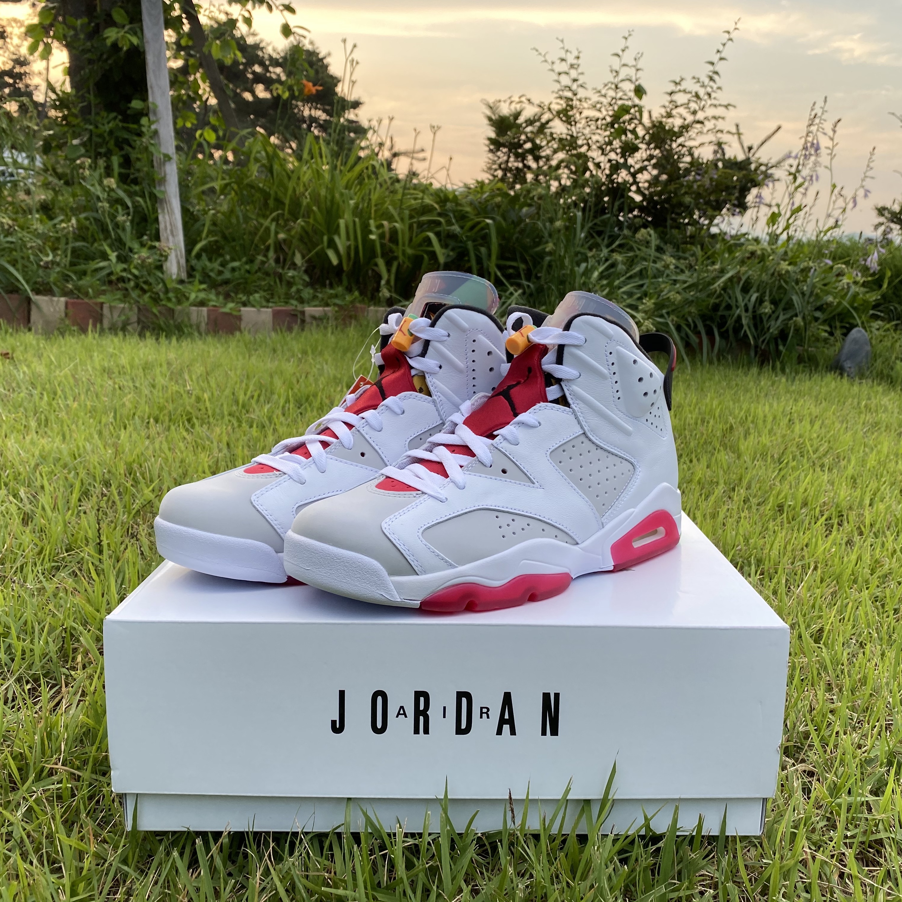 Jordan 6 Retro Hare 착용 스타일 - 2