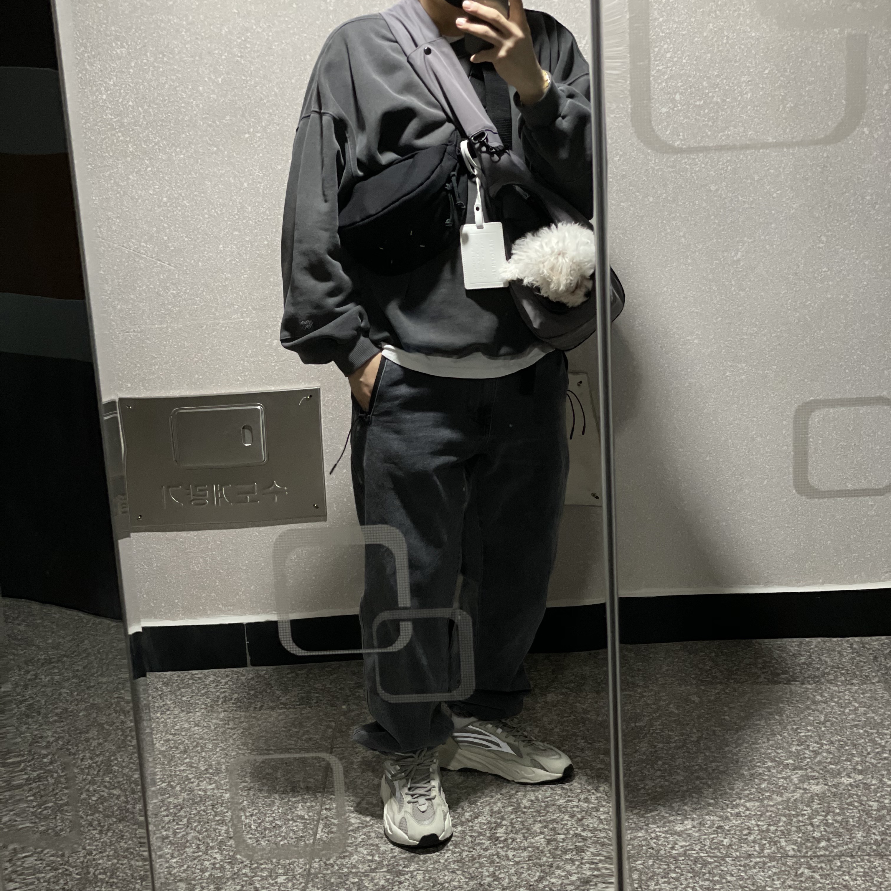 Adidas Yeezy Boost 700 V2 Static 2018 착용 스타일