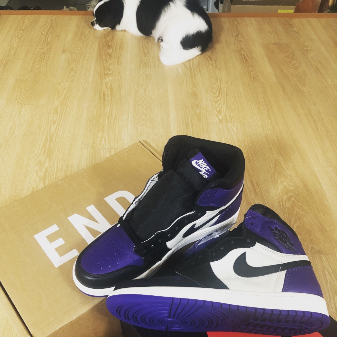 Jordan 1 Retro High OG Court Purple 2020 착용 스타일