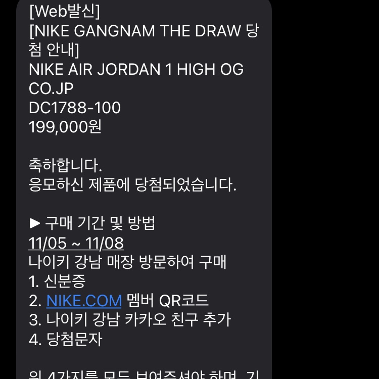 Jordan 1 Retro High OG CO.JP Midnight Navy 착용 스타일