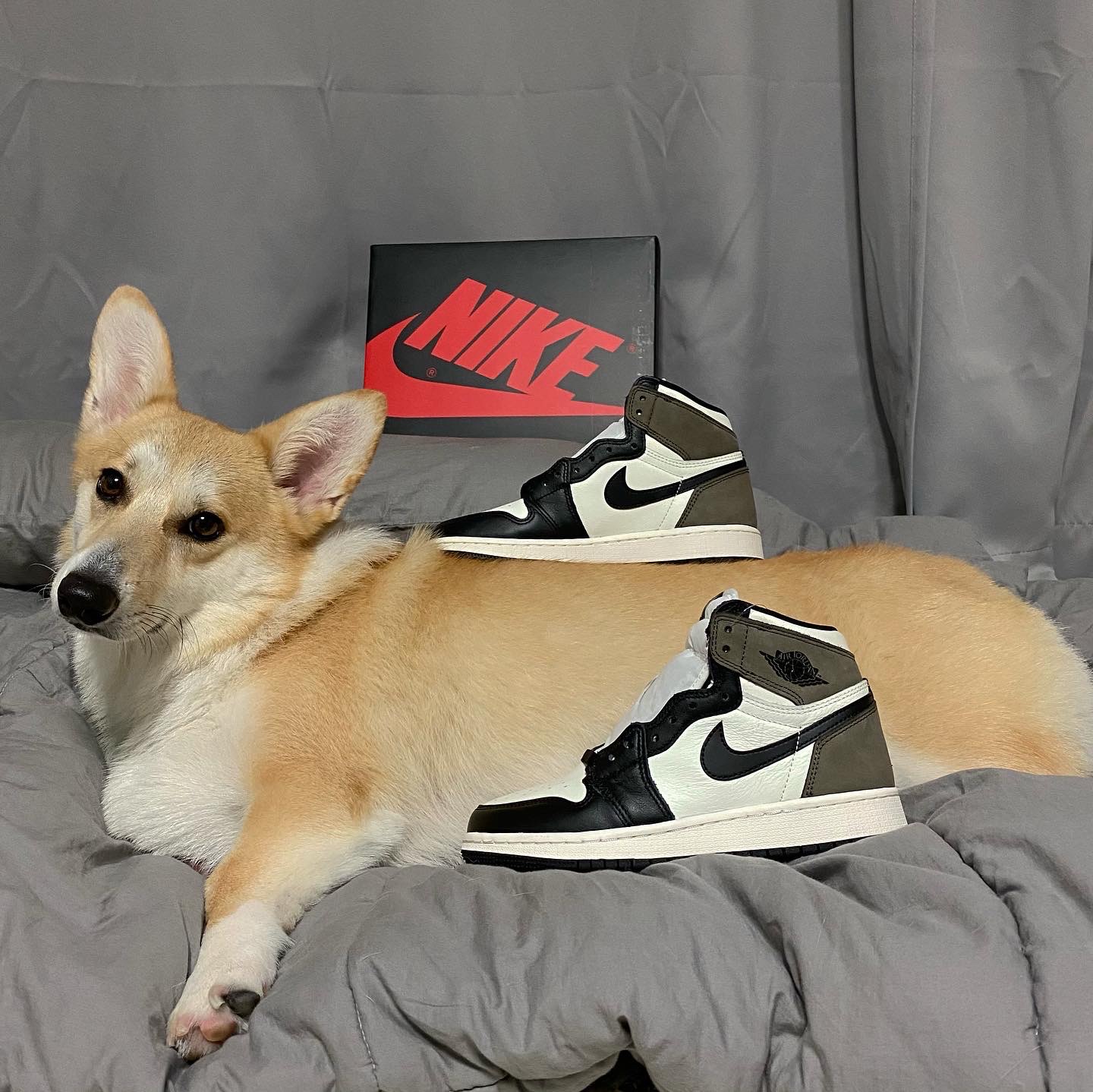 Jordan 1 Retro High OG Black Mocha 착용 스타일