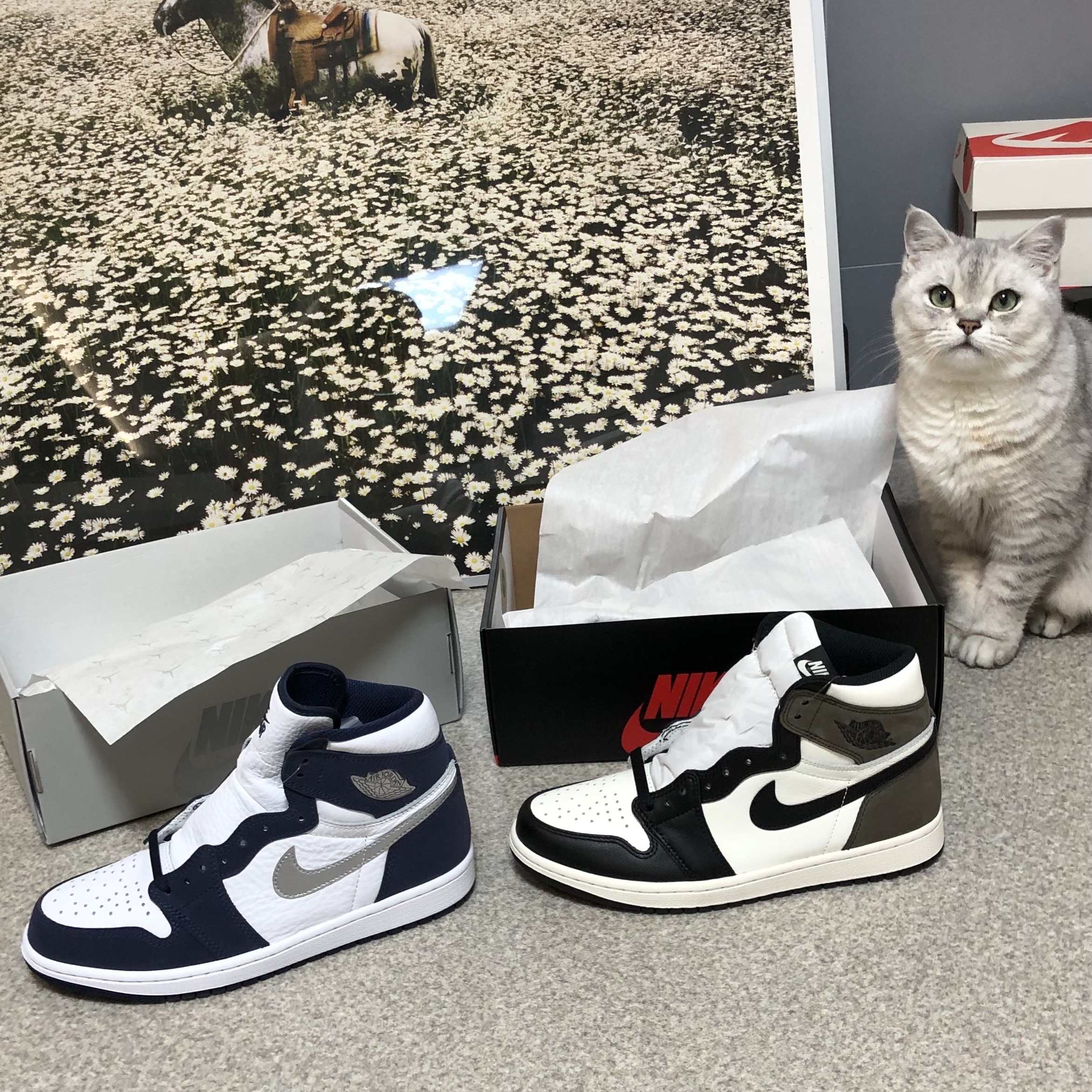 Jordan 1 Retro High OG Black Mocha, Jordan 1 Retro High OG CO.JP Midnight Navy 착용 스타일
