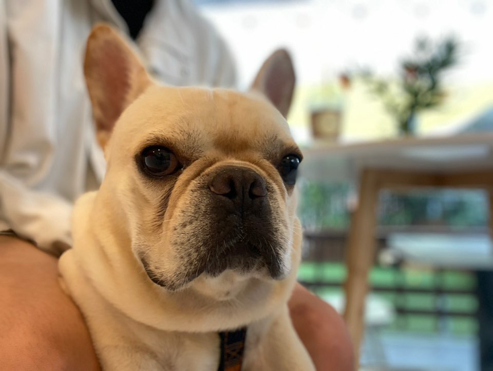 관심 유저 프로필 이미지