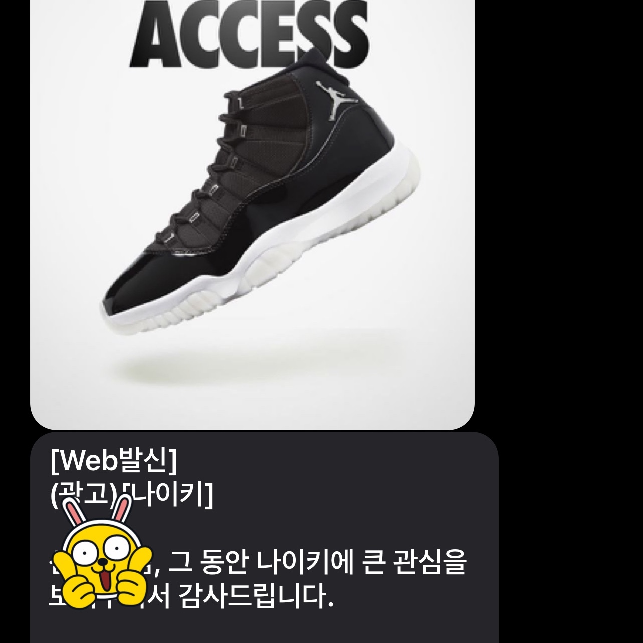 Jordan 11 Retro Jubilee 착용 스타일