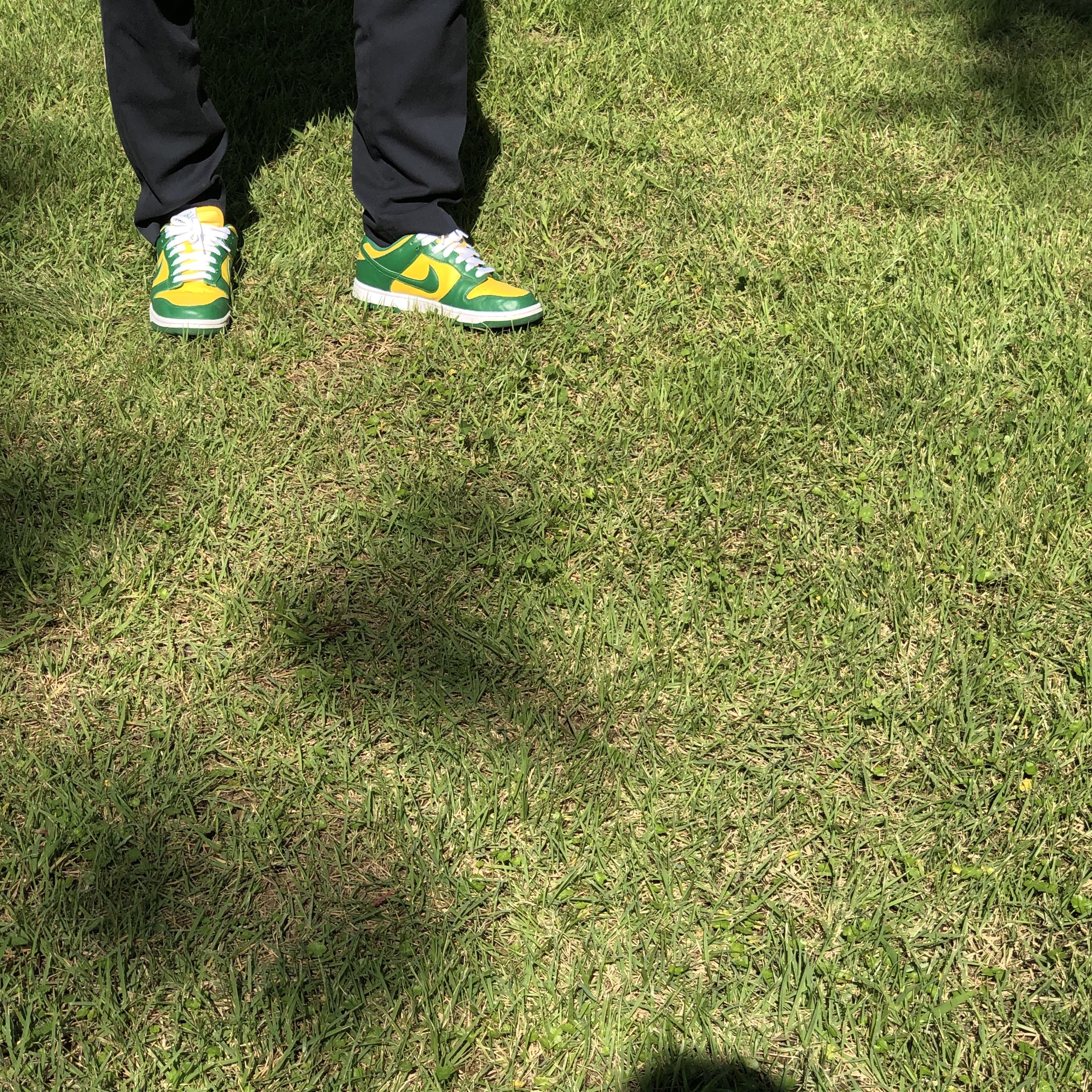Nike Dunk Low SP Brazil 2020 착용 스타일 - 1