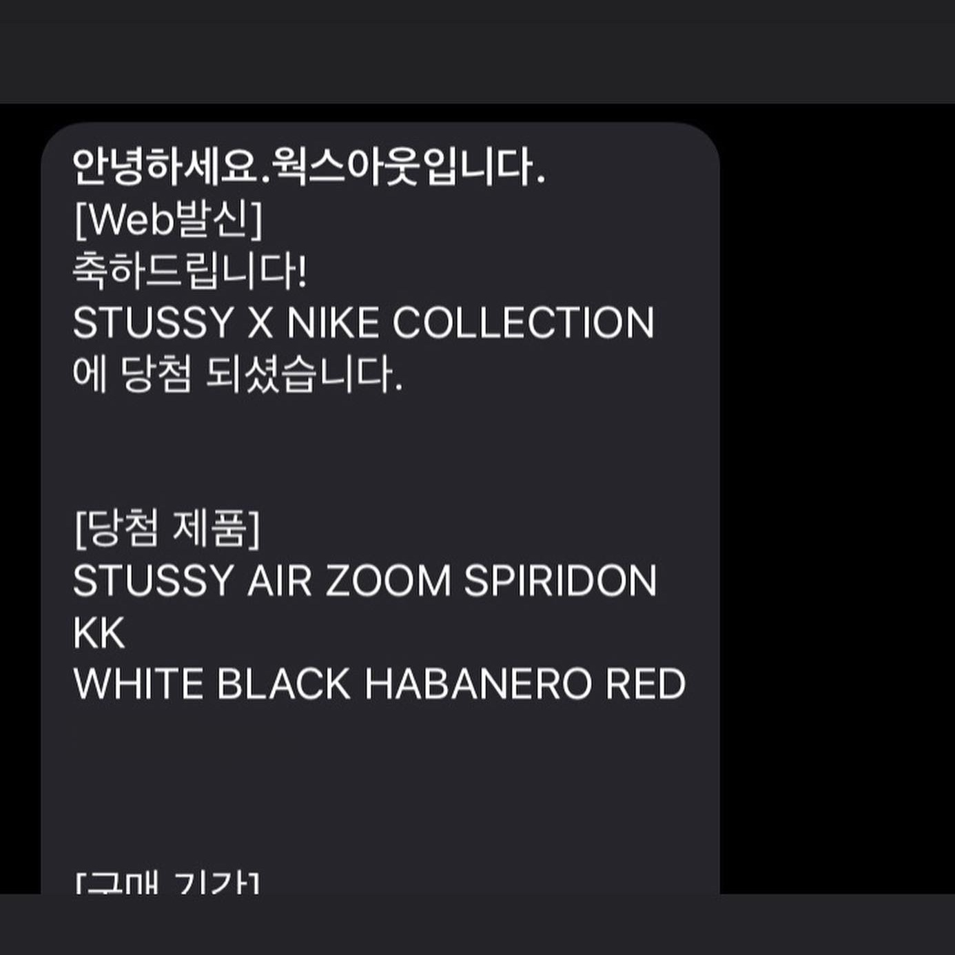 Nike x Stussy Air Zoom Spiridon Kukini White 착용 스타일
