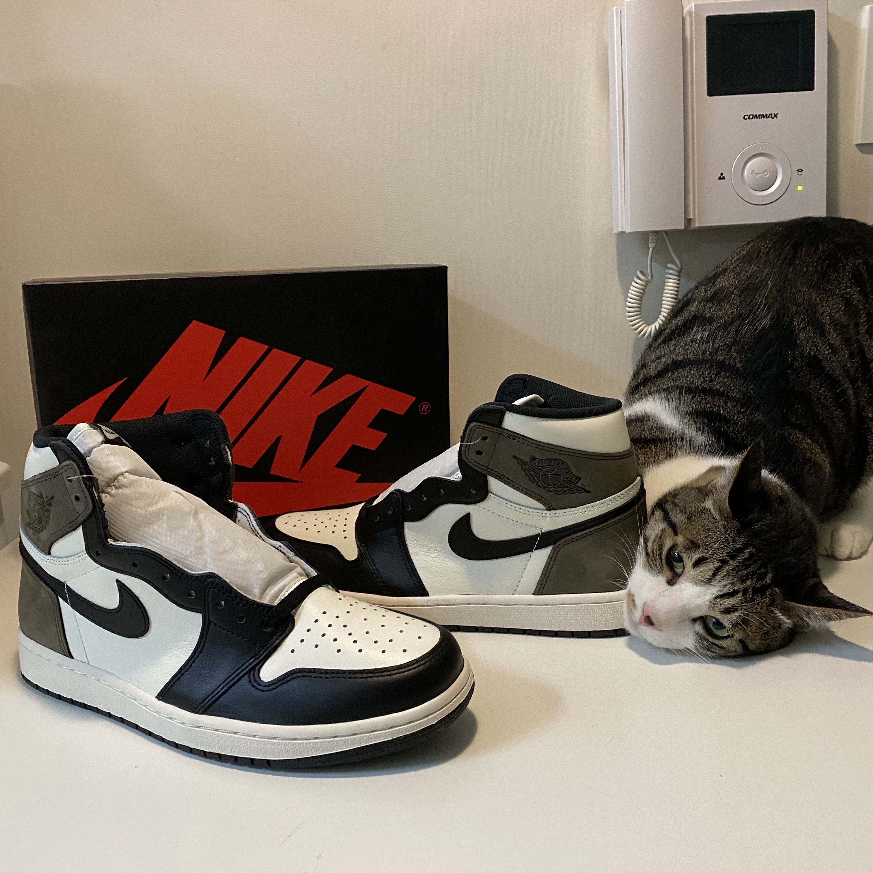 Jordan 1 Retro High OG Black Mocha 착용 스타일 - 2