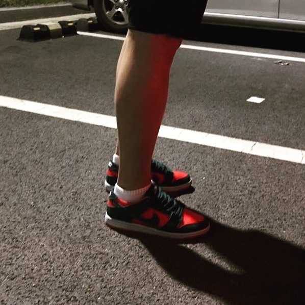 Nike SB Zoom Dunk Low Pro Reverse Shark 착용 스타일