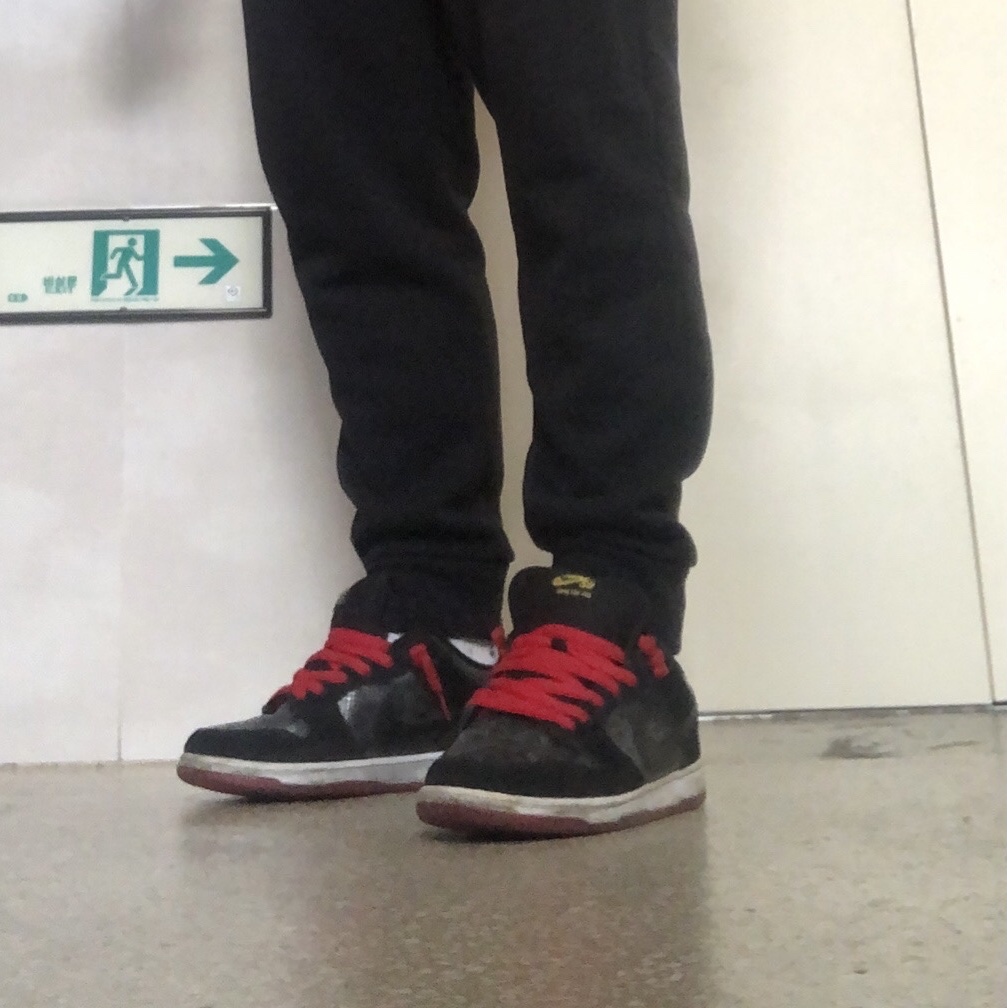 Nike Dunk Low Premium SB Snakeskin 착용 스타일