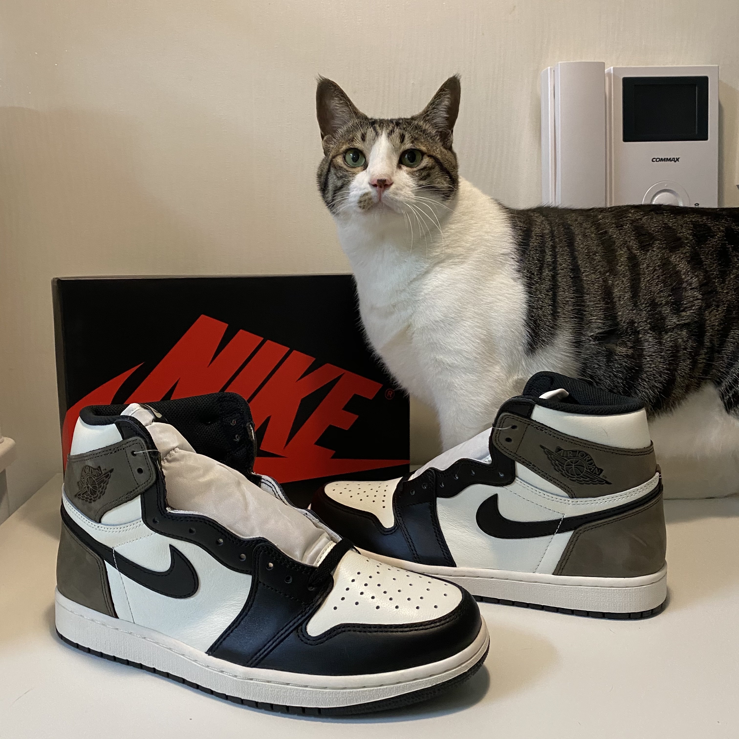Jordan 1 Retro High OG Black Mocha 착용 스타일 - 1
