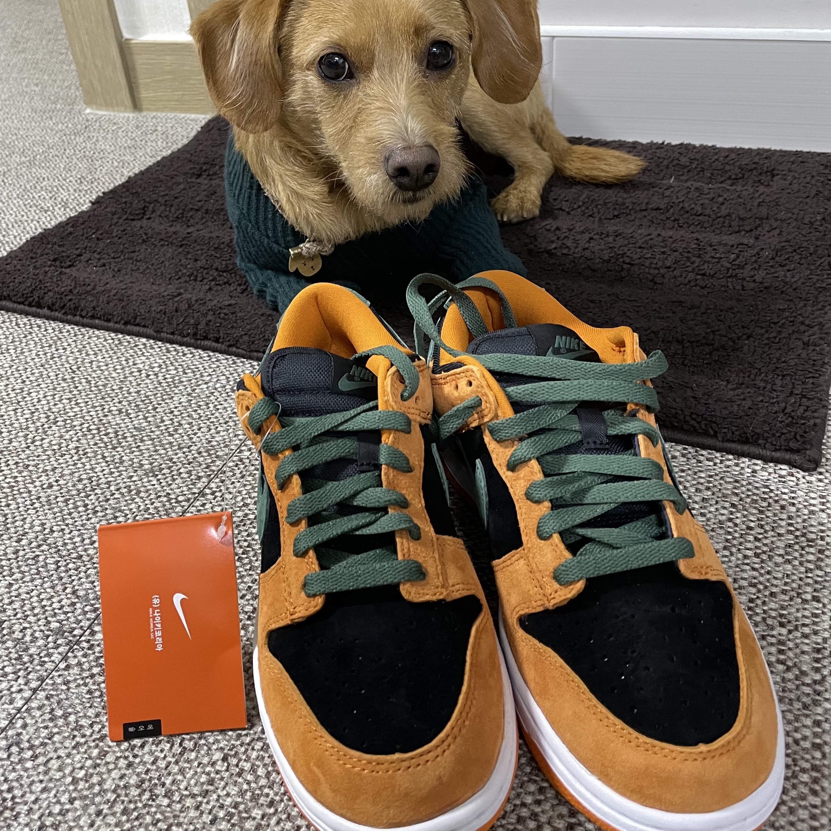 Nike Dunk Low SP Ceramic 착용 스타일