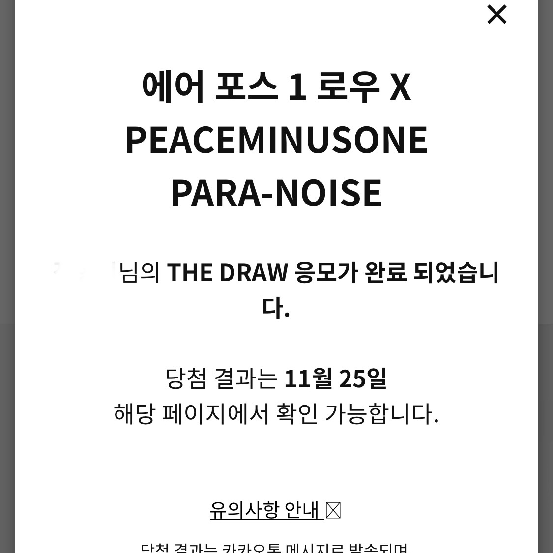 Nike x Peaceminusone Air Force 1 Low Para-Noise 2.0 착용 스타일