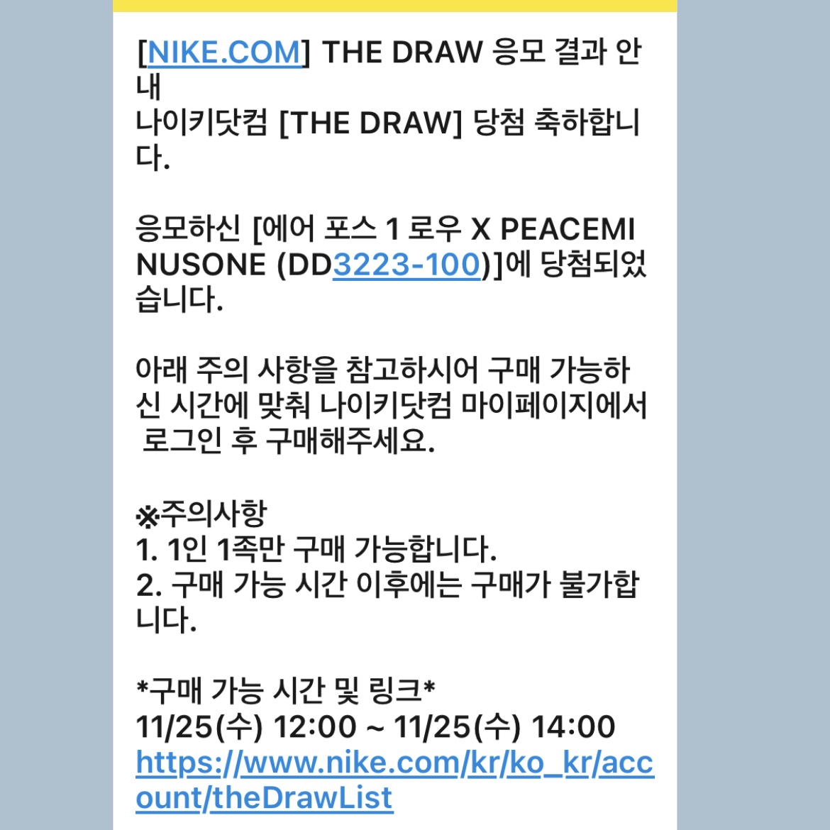 Nike x Peaceminusone Air Force 1 Low Para-Noise 2.0 착용 스타일