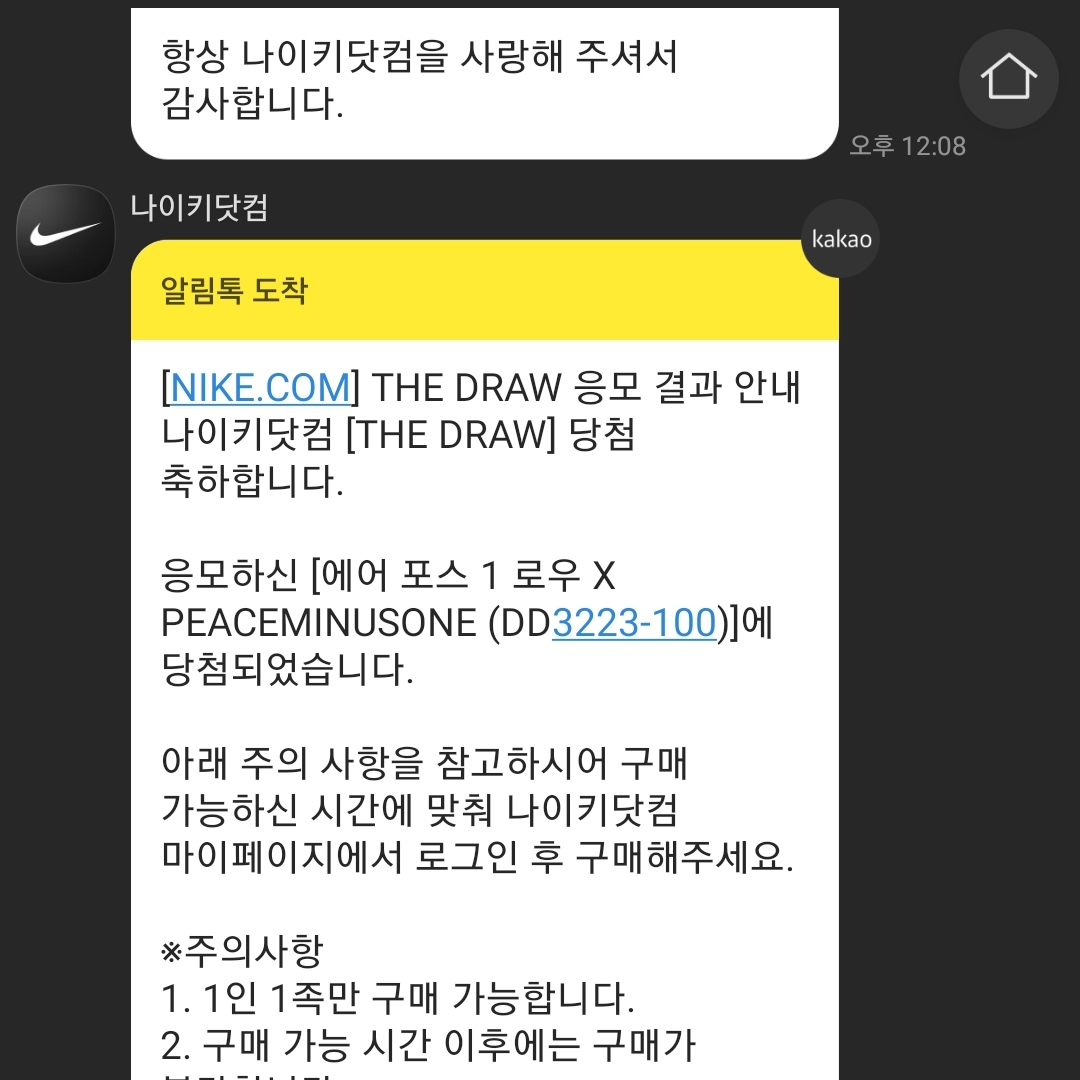 Nike x Peaceminusone Air Force 1 Low Para-Noise 2.0 착용 스타일