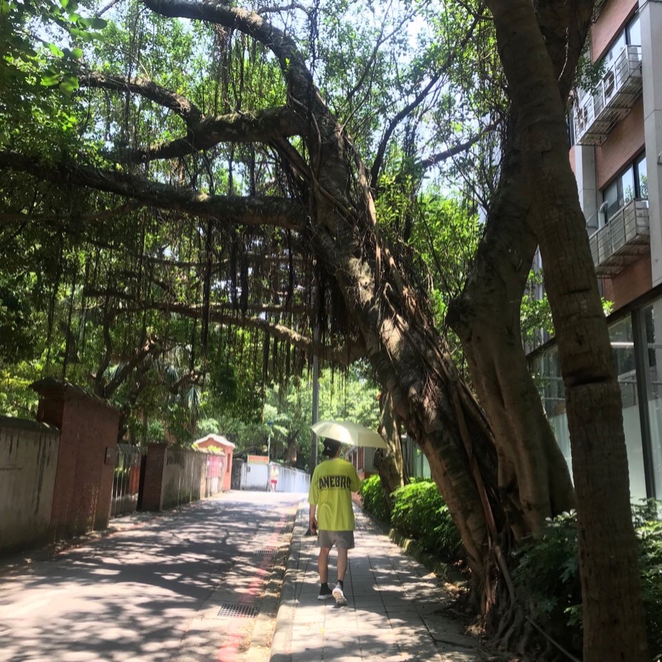 JG님의 스타일