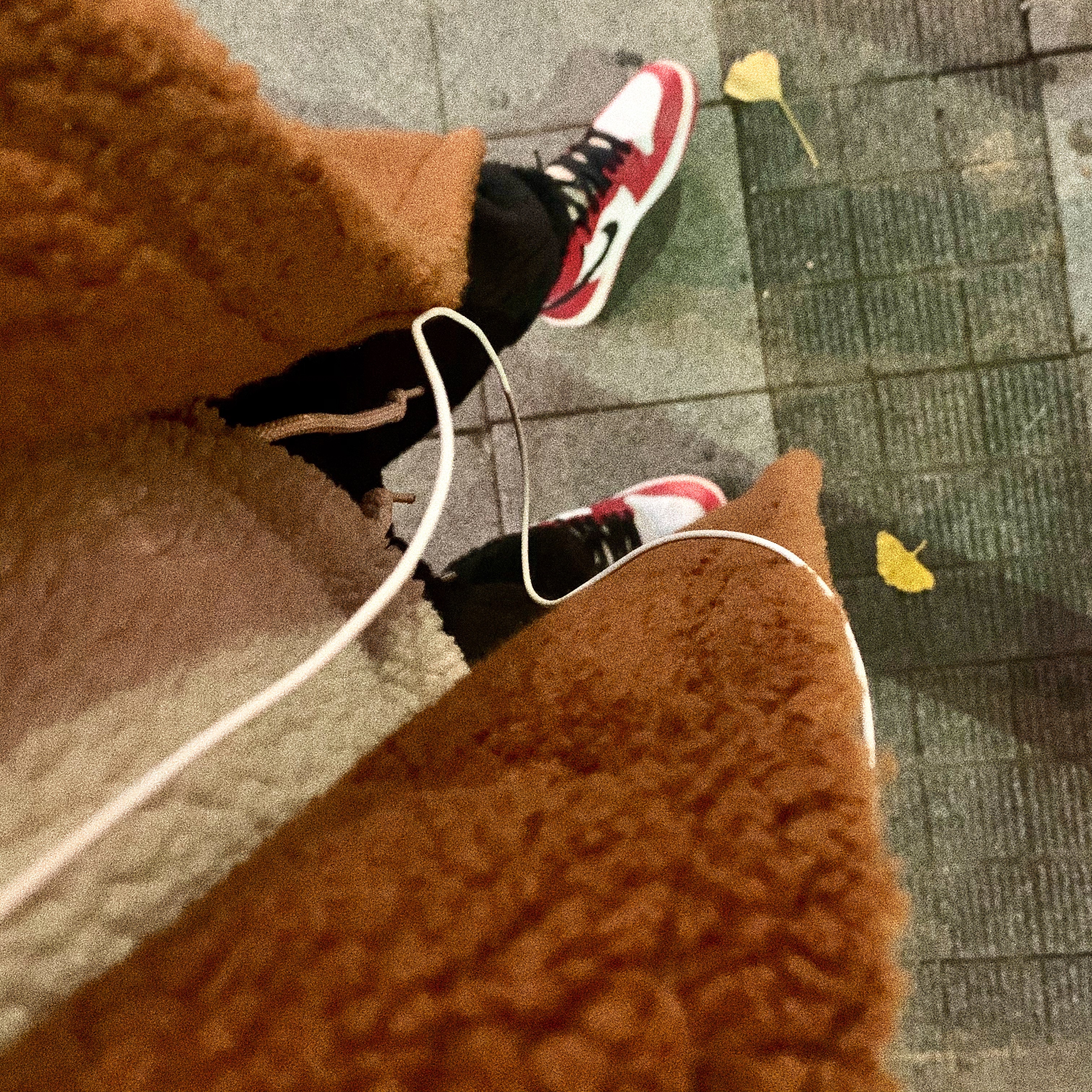 Jordan 1 Mid Bred Banned 2020 착용 스타일